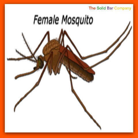 The female mosquito - best repellents from The Solid Bar Company