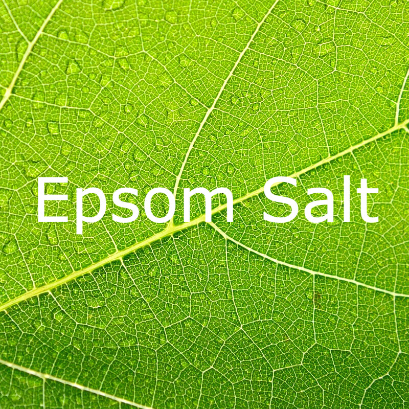 Epsom Salt text on a green leaf