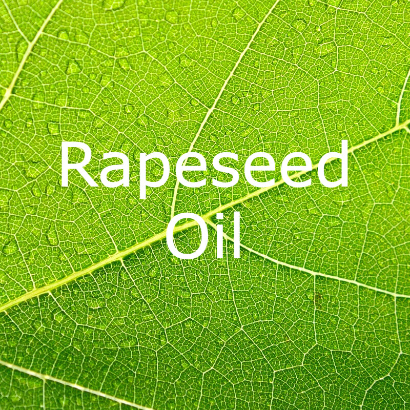 Rapeseed Oil words only