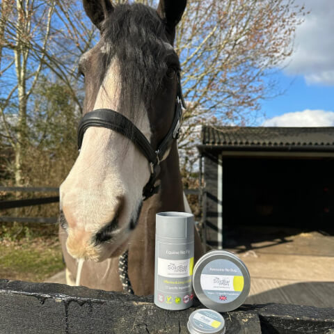 Natural DEET-free horse fly repellent solid bar with a horse