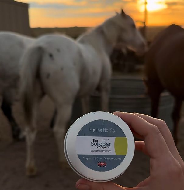 Horse Fly Repellent & Fly Control by the solid bar company
