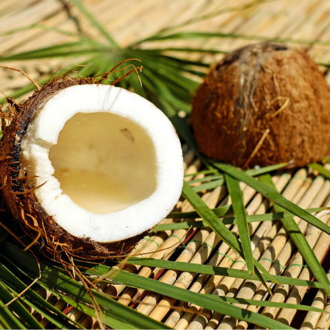 Image of a coconut