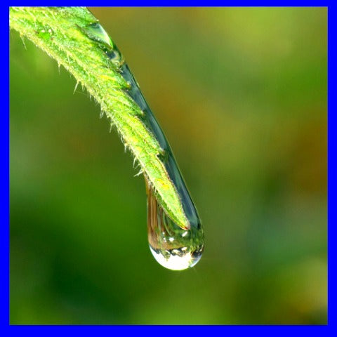 The Rain Starts With One Drop………..