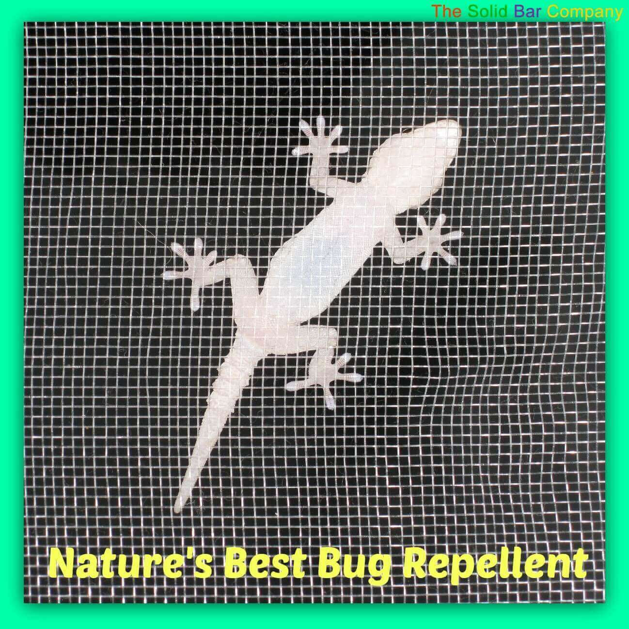 The Best Natural Bug Repellent Available Today!