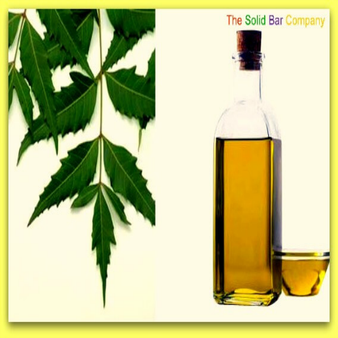 Is Neem a Much Underrated Bug Repellent Ingredient?