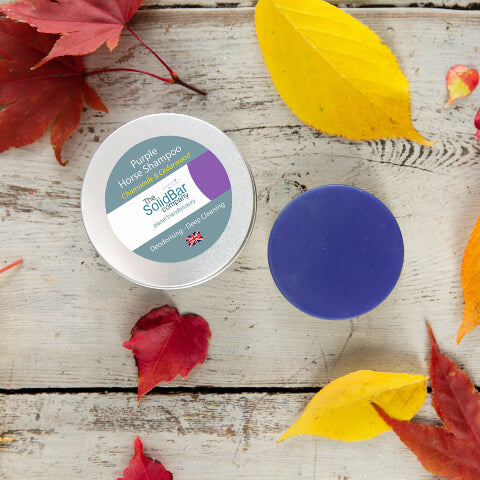 The Solid Bar Company purple horse shampoo UKbar with natural ingredients
