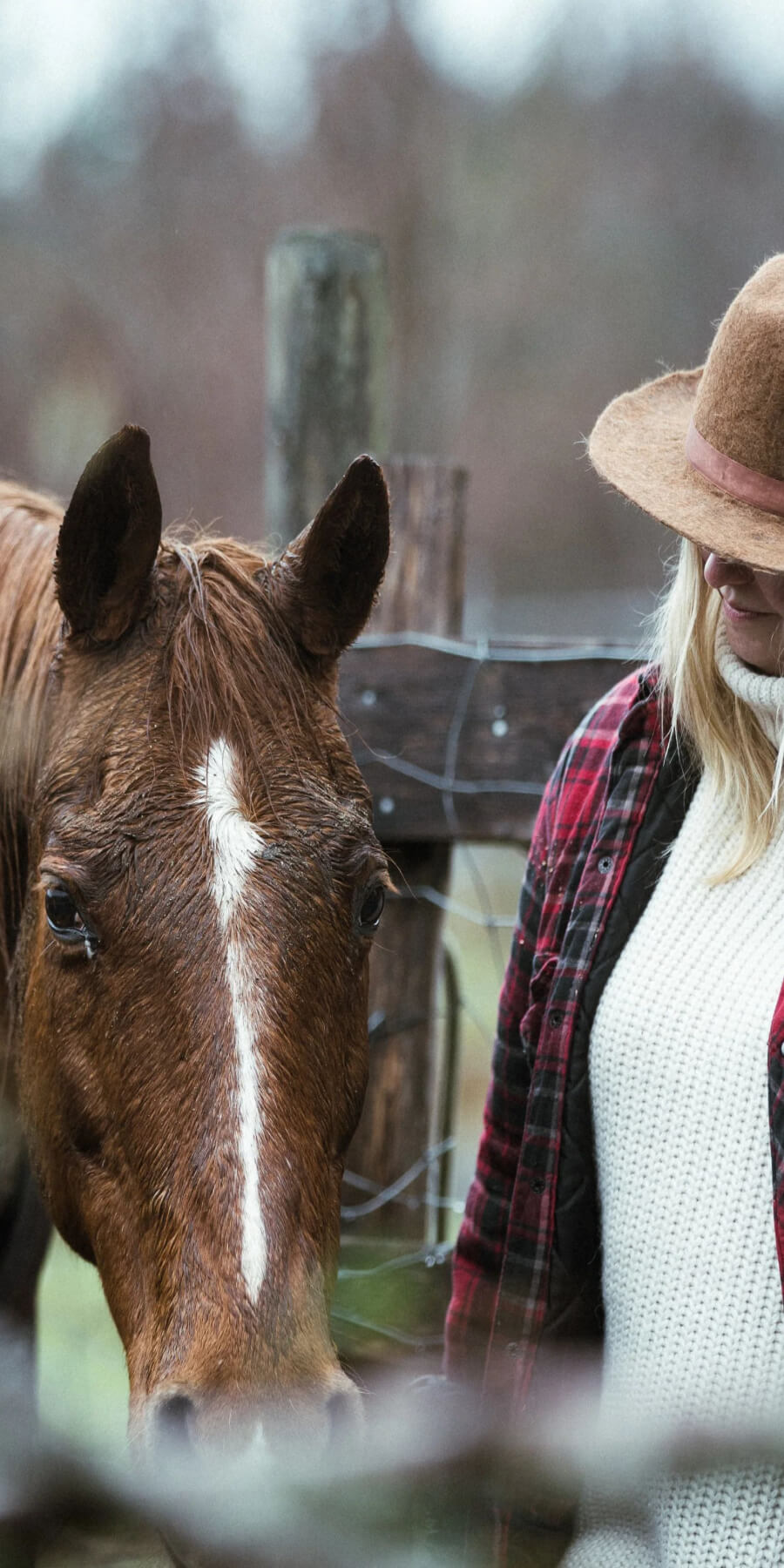 Lady with horse in corral