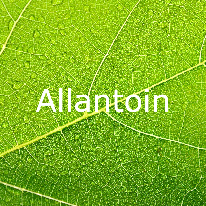 Allantoin