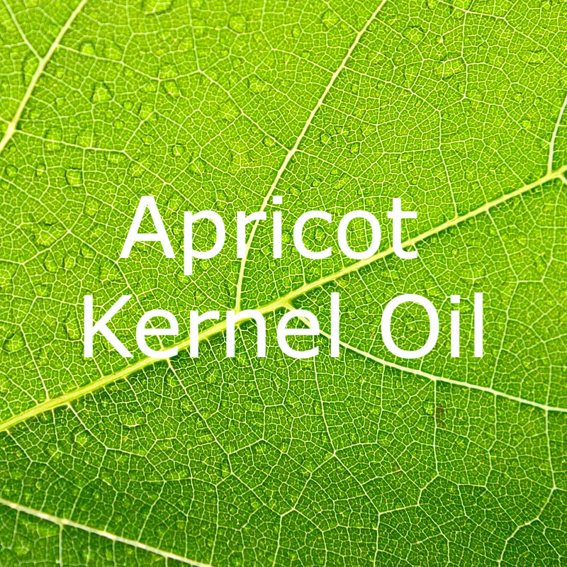 Apricot Kernel Oil
