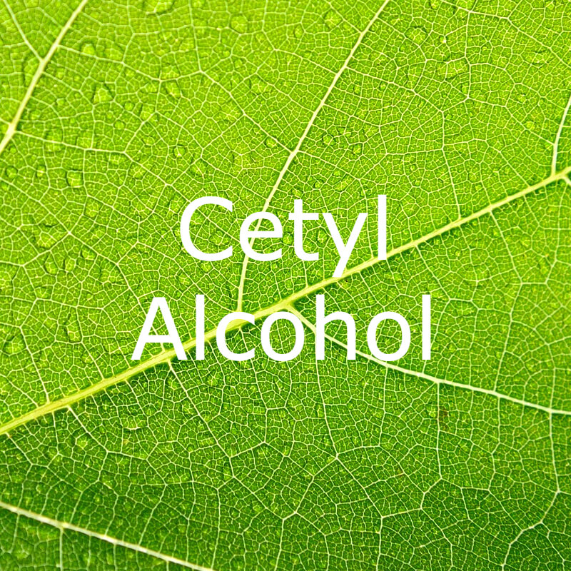 Cetyl Alcohol name on Green leaf background