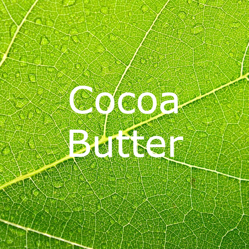 Cocoa Butter