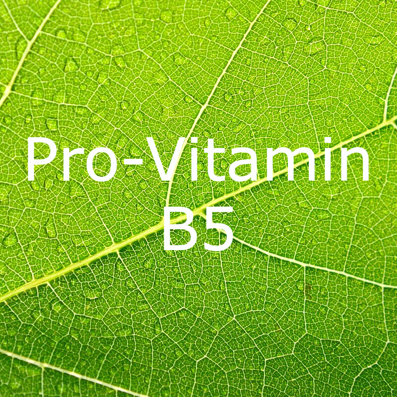 Pro-Vitamin B5 text on a green leaf background