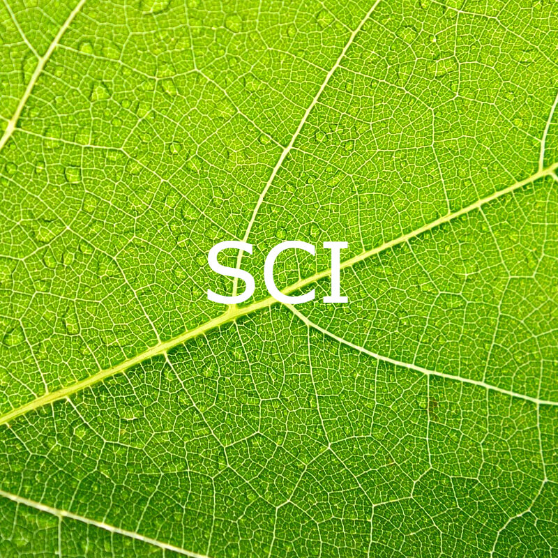 SCI - Sodium cocoyl isethionate
