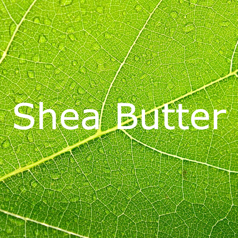Shea Butter