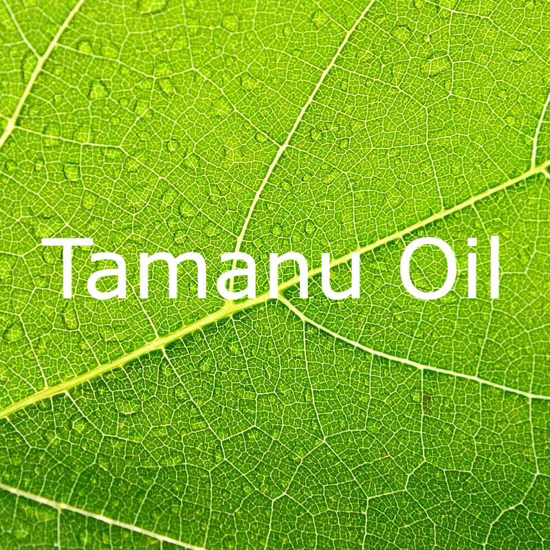 Tamanu Oil text