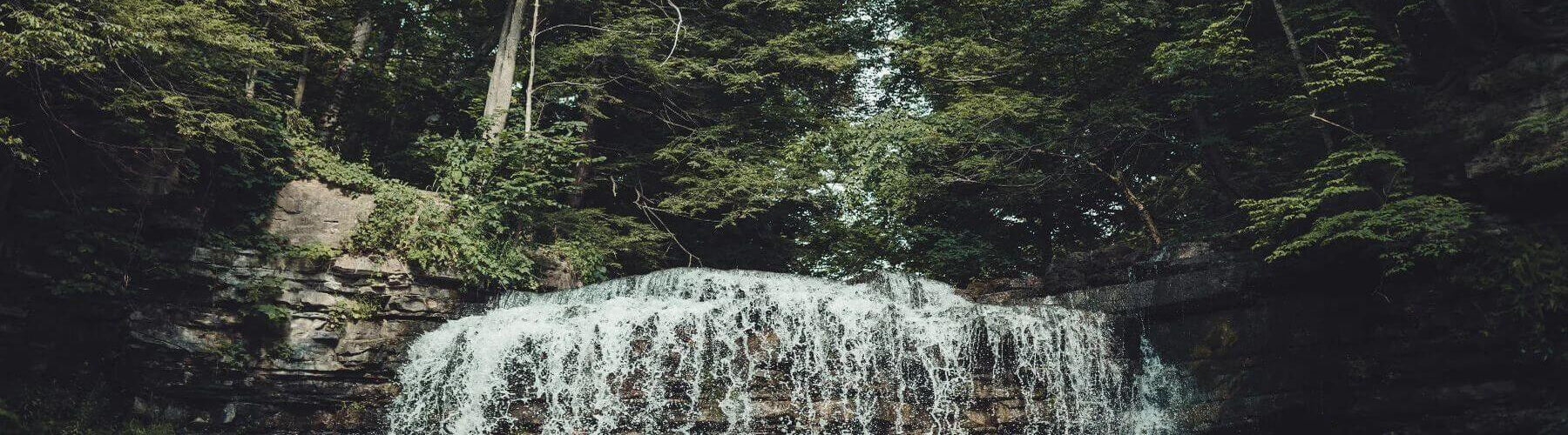 Waterfall in a forest