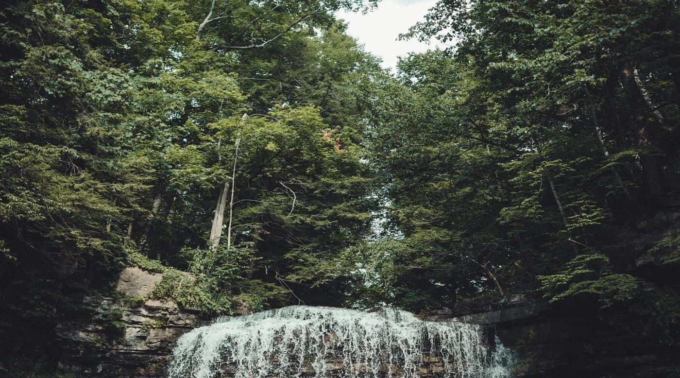 Waterfall in forest