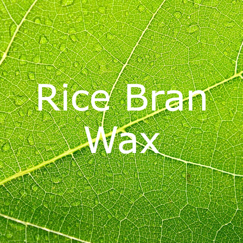 Rice Bran Wax